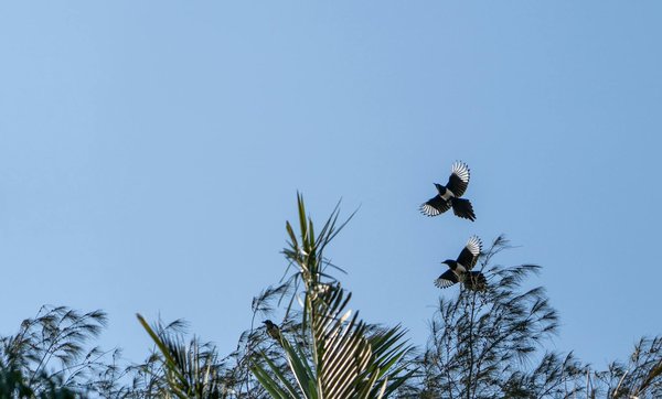 Les activités d'éveil pour les personnes atteintes d'Alzheimer